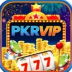 PKRVIP Game