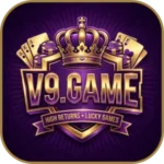 V9 Game